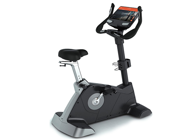 商用自发电立式车