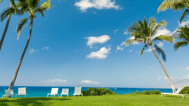 安博体育公司：武汉产的乒乓球台