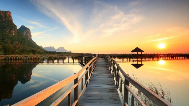 安博体育：投篮球的器材